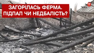 Підпал чи недбалість? На одній з ферм Вінниччини згоріло понад 100 індиків