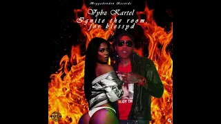 Vybz Kartel - Ignite the Room for BlessyD (Official Audio)