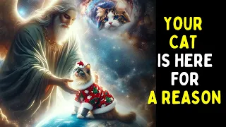 Why did GOD Create CATS? || Spiritual Meaning of CATS ( Meowy Catsmas!)
