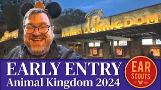 2024 Early Entry Guide to Animal Kingdom at Walt Disney World