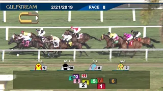 Gulfstream Park Carrera 8 - 21 de Febrero  2019