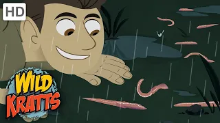 Wild Kratts | Mystery of the Squirmy Wormy | Full Episode | Season 1