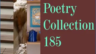 Short Poetry Collection 185 by VARIOUS read by Various | Full Audio Book