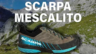 SCARPA MESCALITO - Schuhe für Klettersteig und Zustieg! | TEST