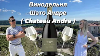 Винодельня Шато Андре ( Chateau Andre ) - Россия, которая удивляет!