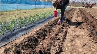 Planting Potatoes with the Wunderbar 3-pt Tool Bar 2021