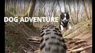 MTB - Trail Dog Ori - Klajdovka Adventure