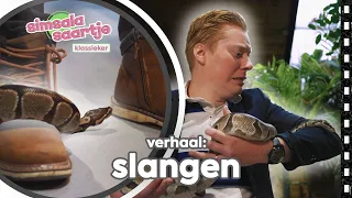 SLANGEN 🐍 | SIMSALA SAARTJE 🐽 | Educatieve kleutertelevisie l Reptielen