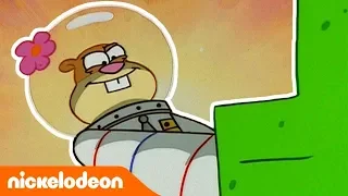 SpongeBob SquarePants | Sandy redt de boel! | Nickelodeon Nederlands