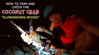 HOW TO TRAP AND CATCH THE COCONUT CRAB or ALIMANGONG-NIYOG || FULL VIDEO - S1/ep1