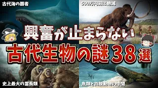 【総集編】眠れなくなるほど面白い古代生物の謎３８選【ゆっくり解説】