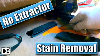 How To Remove Carpet Stains Without an Extractor | The Detailing Business