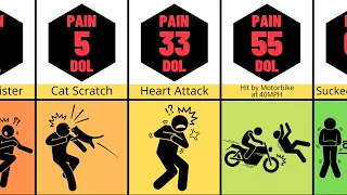 Comparison: Human Pain