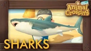 Animal Crossing: New Horizons - How to Catch All Sharks