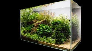 Escarpment Nature Aquarium by James Findley - Step by Step