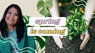 SPRING IS COMING: first impressions on new gardening products + plant updates