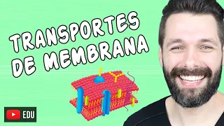 TRANSPORTE ATRAVÉS DA MEMBRANA PLASMÁTICA - Mapa Mental | Biologia com Samuel Cunha