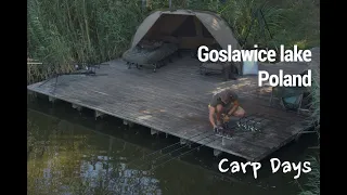New FLAG on the carp map - carp fishing in Poland - Goslawice lake - Sep, 2020