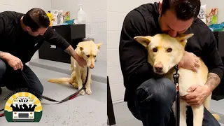 This girl was terrified in the shelter but she's free now | Lee Asher