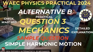 Physics Practical 2024 |Alternative B Question 3| Mechanics| SIMPLE HARMONIC MOTION.