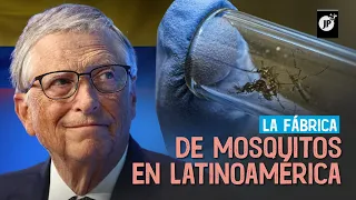 La fábrica de mosquitos de Bill Gates en Latinoamérica