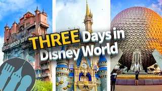 If You ONLY Have 3 Days in Disney World You HAVE To Do This