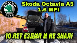 Скрытые функции Skoda Octavia A5 / 10 лет ездил и не знал!