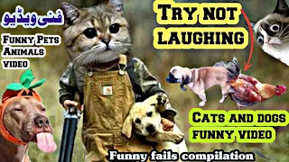 ❤️Cute And Funny Pets | Try Not To Laugh To These Pets Compilation #1 😍Cutest Lands | short videos09