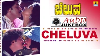 Cheluva - Movie | Audio Jukebox | V Ravichandran , Meena , Gouthami  | Jhankar Music