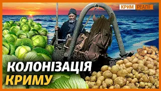 Чому українці були успішнішими за росіян у Криму? |‌ ‌Крим.Реалії‌