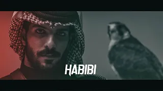 DJ Gimi-O × Habibi [Slowed+Reverb]