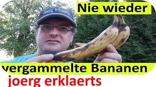 Bananen nie wieder wegschmeißen.. Super Lifhack.....Tutorial Nr. 141