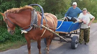 ЛОШАДИ/КОНЬ ОРЛИК И ЕГО ХОЗЯИН