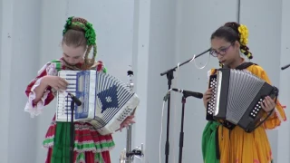La cucaracha being being played as an accordion duet