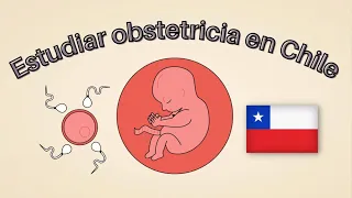 Cómo es estudiar Obstetricia en Chile | Estudiar para ser Matrona