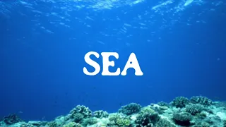 English Word: Sea