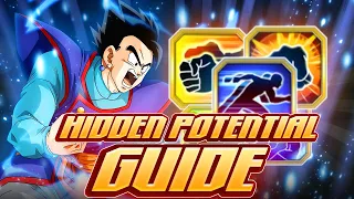 HIDDEN POTENTIAL GUIDE: HOW TO BUILD TEQ ULTIMATE HIDDEN POTENTIAL [Dokkan Battle]