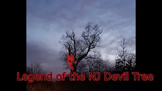 Legend of the NJ Devil Tree