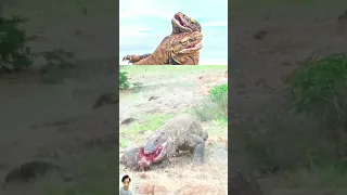 Look at this Komodo dragon ferociously eating a dead deer#shorts#komodo#animals#wildlife#コモドドラゴン