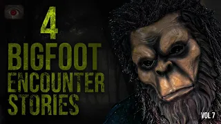 THE WILD SKUNK APE - 4 SIGHTINGS OF THE FLORIDA SKUNK APE