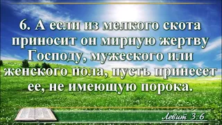 ВидеоБиблия Книга Левит читает Бондаренко все главы