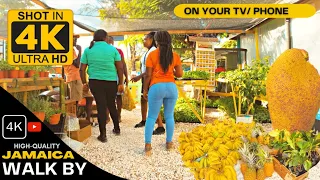 ✔️A COUNTRY FILLED WITH FOOD Denbigh Agricultural Show Clarendon DAY 1 In Jamaica 2022