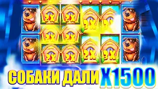 ЗАНОСНОЙ БОНУС! ВЫИГРАЛ 500 000! ПОЙМАЛ X1500 В DOG HOUSE MEGAWAYS ЭТО МОЙ РЕКОРД ЗАНОСЫ НЕДЕЛИ