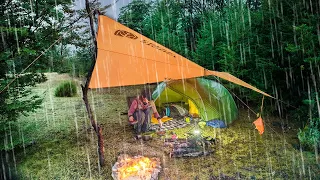 RAINY Tent camping with my dog - (Overnight Snow)