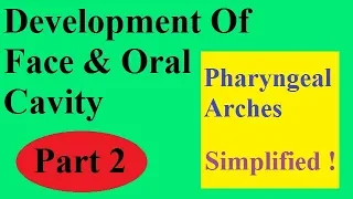 Development of face & oral cavity : Part 2 PHARYNGEAL ARCHES