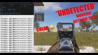 The Best Cheap Rust Script!! *UNDETECTED* | OCTOBER 2020