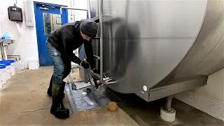 Milking Parlor Wash Set-up & Scraping Manure