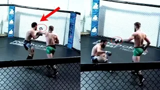 Conor McGregor Sparring | Analysis