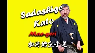 Sadashige Kato (9 Dan IJKA) Mae geri