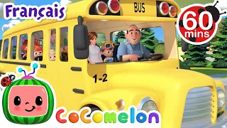 Les roues de l'autobus | CoComelon - L'Heure de Cody | Chansons pour bébés